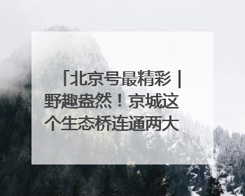 北京号最精彩｜野趣盎然！京城这个生态桥连通两大网红公园