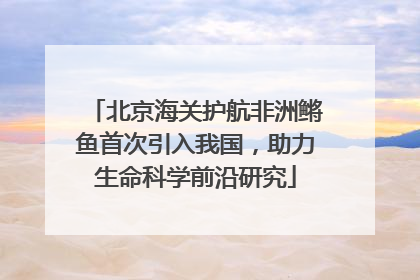 北京海关护航非洲鳉鱼首次引入我国，助力生命科学前沿研究