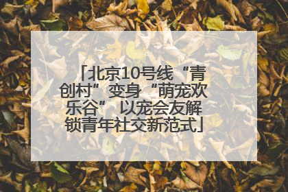 北京10号线“青创村”变身“萌宠欢乐谷” 以宠会友解锁青年社交新范式