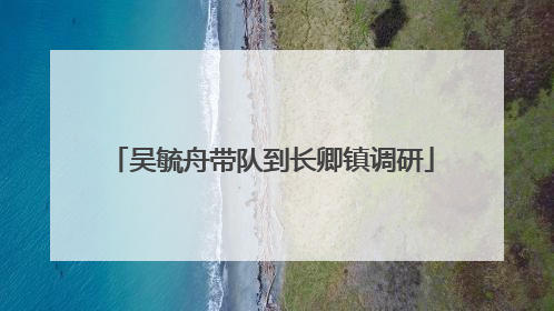 吴毓舟带队到长卿镇调研