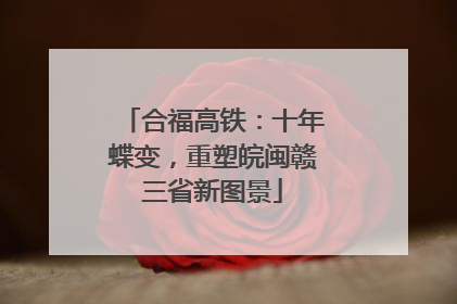 合福高铁：十年蝶变，重塑皖闽赣三省新图景