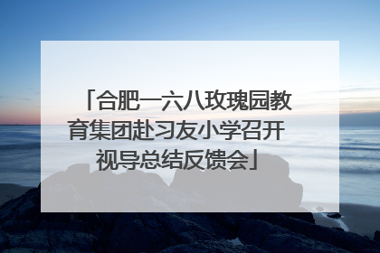 合肥一六八玫瑰园教育集团赴习友小学召开视导总结反馈会