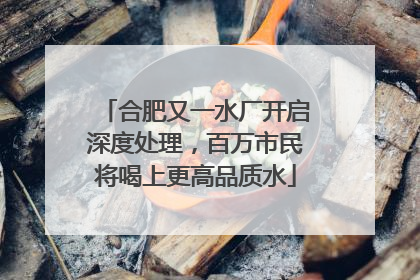 合肥又一水厂开启深度处理，百万市民将喝上更高品质水