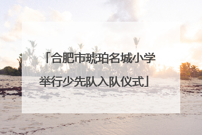 合肥市琥珀名城小学举行少先队入队仪式