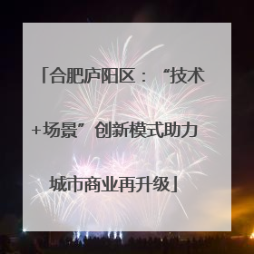 合肥庐阳区：“技术+场景”创新模式助力城市商业再升级