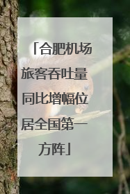 合肥机场旅客吞吐量同比增幅位居全国第一方阵