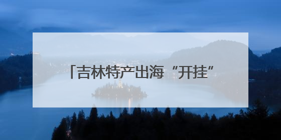 吉林特产出海“开挂”！松子成“全球爆款”，酒精首单锁1.4万吨