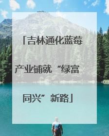 吉林通化蓝莓产业铺就“绿富同兴”新路