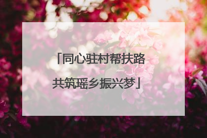 同心驻村帮扶路 共筑瑶乡振兴梦