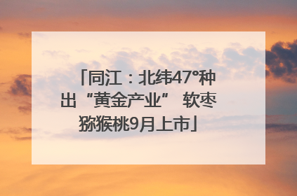 同江：北纬47°种出“黄金产业” 软枣猕猴桃9月上市