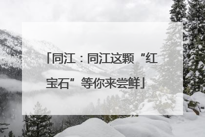 同江：同江这颗“红宝石”等你来尝鲜