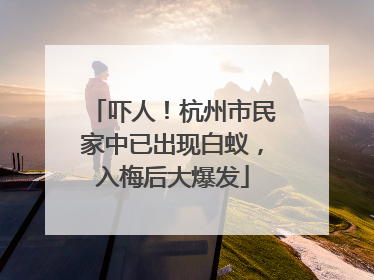吓人！杭州市民家中已出现白蚁，入梅后大爆发