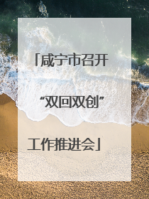 咸宁市召开“双回双创”工作推进会