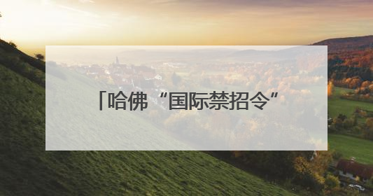 哈佛“国际禁招令”被叫停 美政府改立场提出“30天限期”