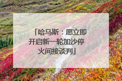哈马斯：愿立即开启新一轮加沙停火间接谈判