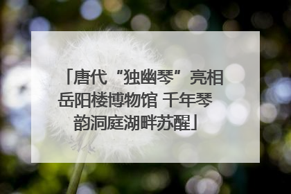 唐代“独幽琴”亮相岳阳楼博物馆 千年琴韵洞庭湖畔苏醒