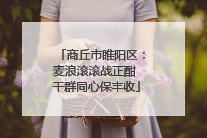 商丘市睢阳区：麦浪滚滚战正酣 干群同心保丰收