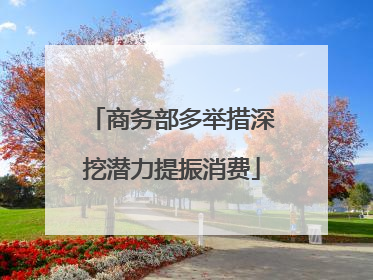 商务部多举措深挖潜力提振消费