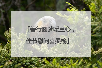 善行圆梦暖童心，佳节慰问喜桑榆