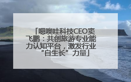 嗯噢哇科技CEO窦飞鹏：共创旅游专业能力认知平台，激发行业“自生长”力量
