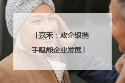 嘉禾：政企银携手赋能企业发展