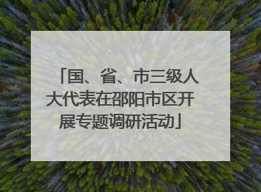 国、省、市三级人大代表在邵阳市区开展专题调研活动