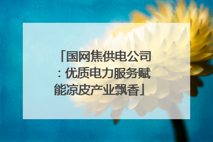 国网焦供电公司：优质电力服务赋能凉皮产业飘香