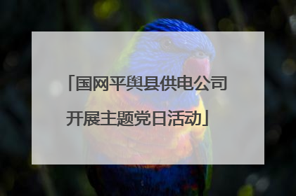 国网平舆县供电公司开展主题党日活动