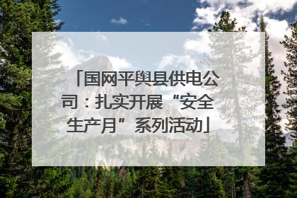 国网平舆县供电公司：扎实开展“安全生产月”系列活动
