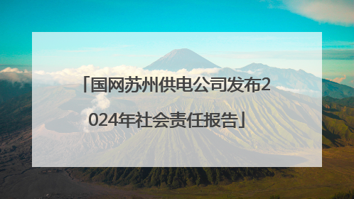 国网苏州供电公司发布2024年社会责任报告