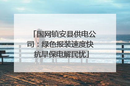 国网镇安县供电公司：绿色报装速度快 抗旱保电解民忧