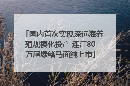 国内首次实现深远海养殖规模化投产 连江80万尾绿鳍马面鲀上市