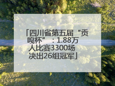 四川省第五届“贡嘎杯”：1.88万人比赛3300场 决出26组冠军