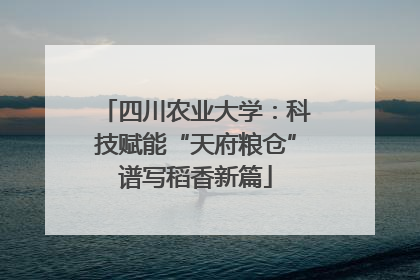四川农业大学：科技赋能“天府粮仓”谱写稻香新篇