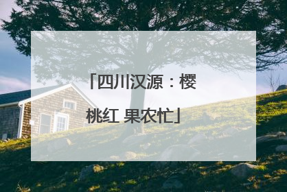 四川汉源：樱桃红 果农忙