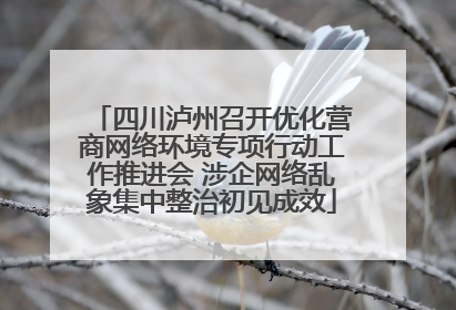 四川泸州召开优化营商网络环境专项行动工作推进会 涉企网络乱象集中整治初见成效