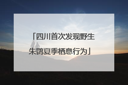 四川首次发现野生朱鹮夏季栖息行为