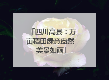 四川高县：万亩稻田绿意盎然 美景如画