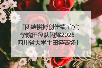 团结拼搏创佳绩 宜宾学院田径队闪耀2025四川省大学生田径赛场