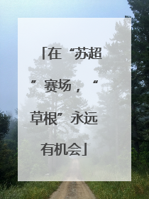 在“苏超”赛场，“草根”永远有机会