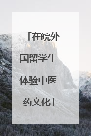 在皖外国留学生体验中医药文化