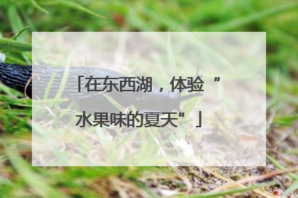 在东西湖，体验“水果味的夏天”