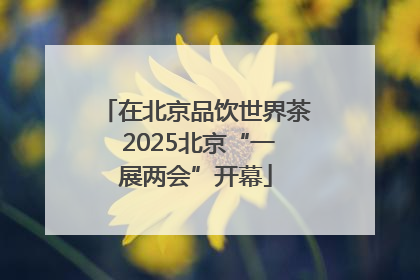 在北京品饮世界茶 2025北京“一展两会”开幕