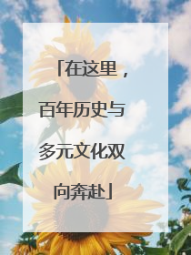 在这里，百年历史与多元文化双向奔赴