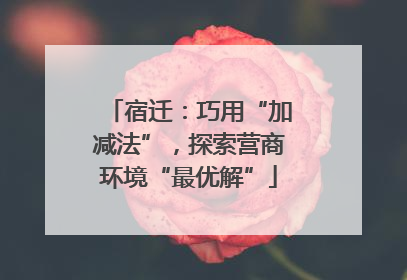宿迁：巧用“加减法”，探索营商环境“最优解”