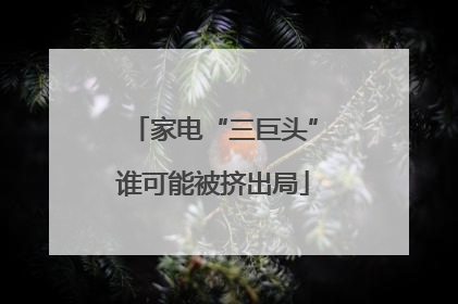 家电“三巨头”谁可能被挤出局