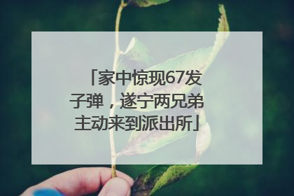 家中惊现67发子弹，遂宁两兄弟主动来到派出所
