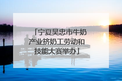 宁夏吴忠市牛奶产业挤奶工劳动和技能大赛举办