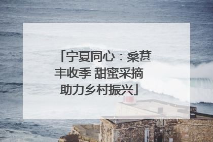 宁夏同心：桑葚丰收季 甜蜜采摘助力乡村振兴