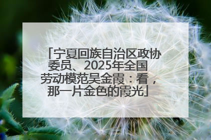 宁夏回族自治区政协委员、2025年全国劳动模范吴金霞：看，那一片金色的霞光